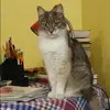 Отзыв от Вероника Столярова